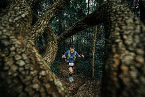 BIB: 
                            <button type="button" onclick="openModal(25674341)" class="btn btn-primary btn-sm float-right btn-popup" data-toggle="modal" data-target=".modal-high-quality">
                        <i class="fas fa-shopping-cart"></i> Add to Cart
                    </button>
                                            <button type="button" onclick="isThisMe(25674341, true)" class="btn btn-success btn-sm float-right btn-popup btn-isme hidden" data-toggle="tooltip" data-placement="bottom" title="นี่คือรูปของคุณใช่ไหม คลิกที่นี่เพื่อเอาเข้าอัลบั้ม">
                        <i class="fas fa-plus"></i> Add to album
                    </button>
                    <button type="button" onclick="isThisMe(25674341, false)" class="btn btn-warning btn-sm float-right btn-popup btn-isnotme hidden">
                        <i class="fas fa-ban"></i> Remove from album
                    </button>